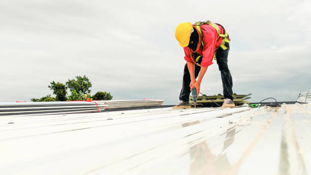 Best Emergency Roof Repair Services  in Pembroke, GA