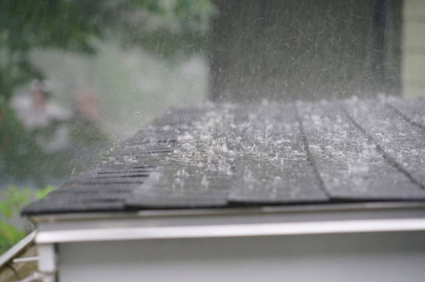 Best Asphalt Shingle Roofing  in Pembroke, GA
