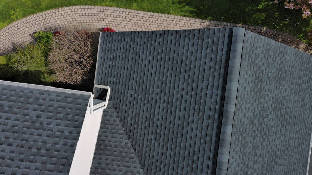 Best Asphalt Shingle Roofing  in Pembroke, GA